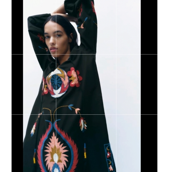 NWT Zara embroidered dress 👗 💕 - Picture 3 of 13